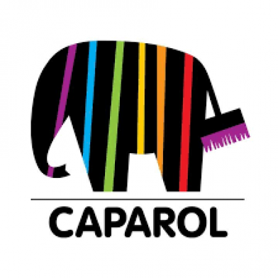 Шпаклевка финишная Caparol Glattspachtel (Akkordspachtel Fein), 25 кг - 