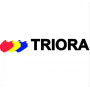 TRIORA - Шпаклевка для дерева акриловая