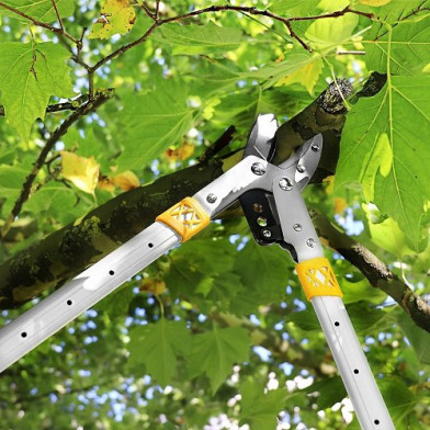 Гілкоріз GRUNTEK XT 27-40 Premium з ковадлом, до 52 мм, 685–1015 мм - 
